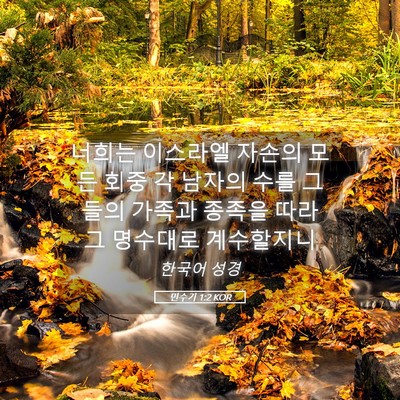 Picture 05 - 민수기 1:2 KOR - 너희는 이스라엘 자손의 모든 회중 - Bible Verse Picture