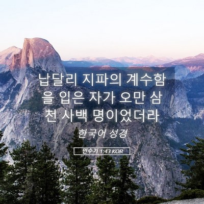 Picture 05 - 민수기 1:43 KOR - 납달리 지파의 계수함을 입은 자가 - Bible Verse Picture
