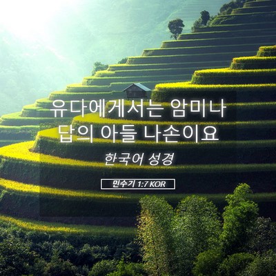 Picture 05 - 민수기 1:7 KOR - 유다에게서는 암미나답의 아들 - Bible Verse Picture