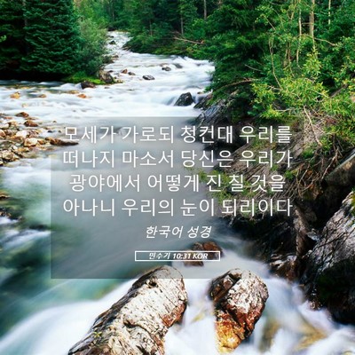 Picture 05 - 민수기 10:31 KOR - 모세가 가로되 청컨대 우리를 떠나지 - Bible Verse Picture