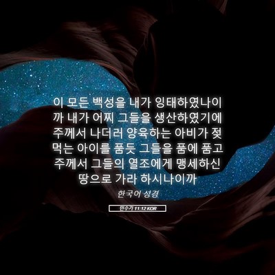 Picture 05 - 민수기 11:12 KOR - 이 모든 백성을 내가 잉태하였나이까 - Bible Verse Picture