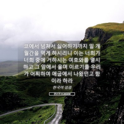Picture 05 - 민수기 11:20 KOR - 코에서 넘쳐서 싫어하기까지 일 - Bible Verse Picture