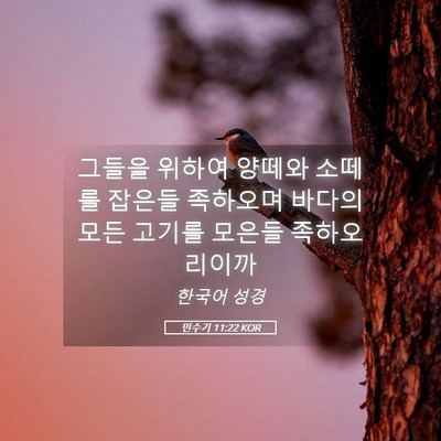 Picture 05 - 민수기 11:22 KOR - 그들을 위하여 양떼와 소떼를 잡은들 - Bible Verse Picture