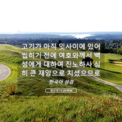 Picture 05 - 민수기 11:33 KOR - 고기가 아직 잇사이에 있어 씹히기 - Bible Verse Picture