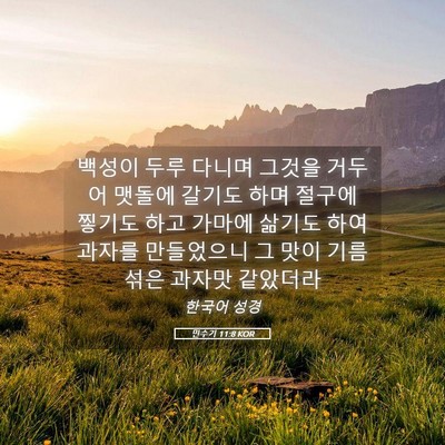 Picture 05 - 민수기 11:8 KOR - 백성이 두루 다니며 그것을 거두어 - Bible Verse Picture