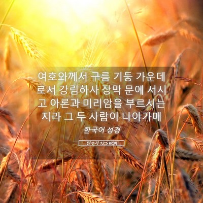 Picture 05 - 민수기 12:5 KOR - 여호와께서 구름 기둥 가운데로서 - Bible Verse Picture