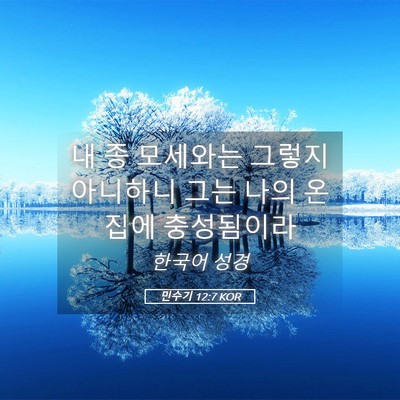 Picture 05 - 민수기 12:7 KOR - 내 종 모세와는 그렇지 아니하니 - Bible Verse Picture