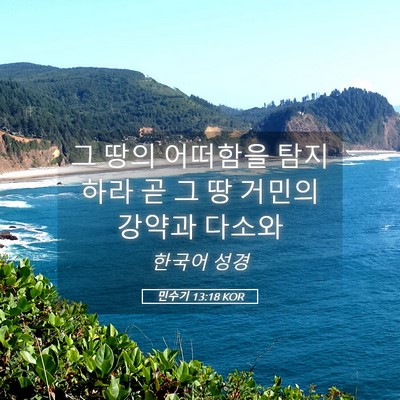 Picture 05 - 민수기 13:18 KOR - 그 땅의 어떠함을 탐지하라 곧 그 땅 - Bible Verse Picture