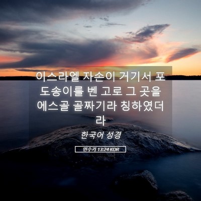 Picture 05 - 민수기 13:24 KOR - 이스라엘 자손이 거기서 포도송이를 - Bible Verse Picture