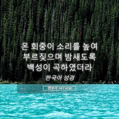 Picture 05 - 민수기 14:1 KOR - 온 회중이 소리를 높여 부르짖으며 - Bible Verse Picture