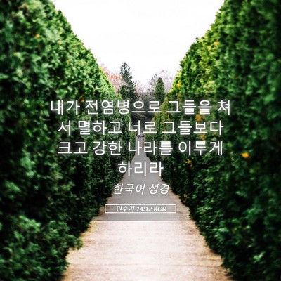 Picture 05 - 민수기 14:12 KOR - 내가 전염병으로 그들을 쳐서 멸하고 - Bible Verse Picture