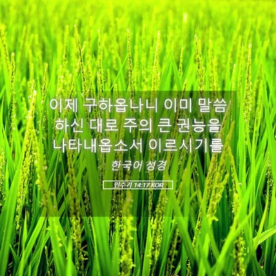 Picture 05 - 민수기 14:17 KOR - 이제 구하옵나니 이미 말씀하신 대로 - Bible Verse Picture