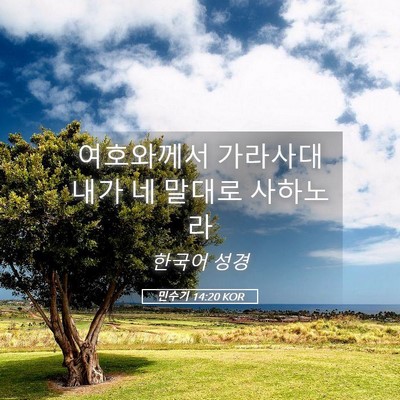 Picture 05 - 민수기 14:20 KOR - 여호와께서 가라사대 내가 네 말대로 - Bible Verse Picture
