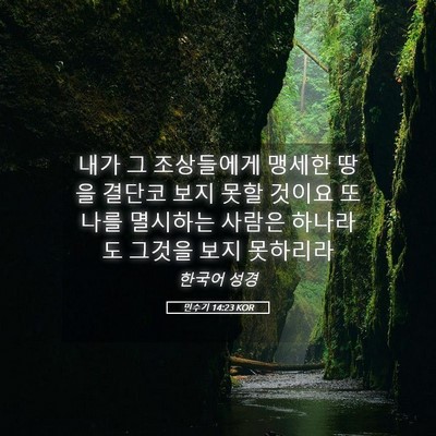 Picture 05 - 민수기 14:23 KOR - 내가 그 조상들에게 맹세한 땅을 - Bible Verse Picture