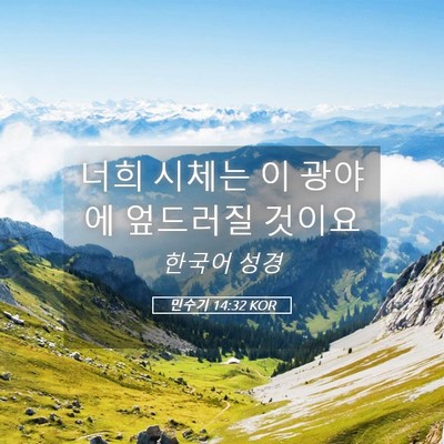Picture 05 - 민수기 14:32 KOR - 너희 시체는 이 광야에 엎드러질 - Bible Verse Picture