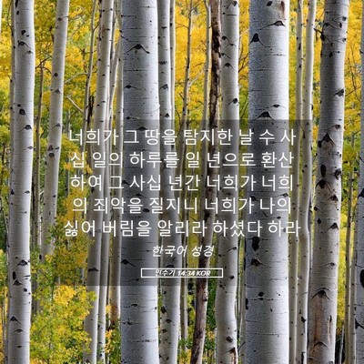 Picture 05 - 민수기 14:34 KOR - 너희가 그 땅을 탐지한 날 수 사십 - Bible Verse Picture