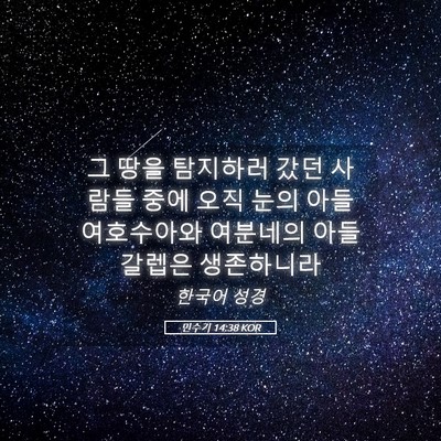 Picture 05 - 민수기 14:38 KOR - 그 땅을 탐지하러 갔던 사람들 중에 - Bible Verse Picture