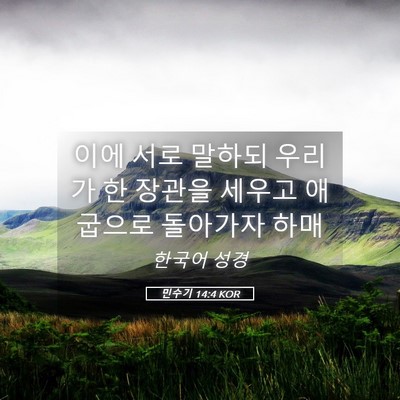Picture 05 - 민수기 14:4 KOR - 이에 서로 말하되 우리가 한 장관을 - Bible Verse Picture