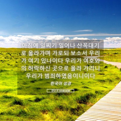 Picture 05 - 민수기 14:40 KOR - 아침에 일찌기 일어나 산꼭대기로 - Bible Verse Picture