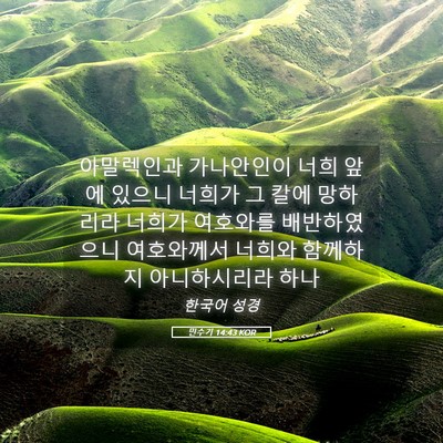 Picture 05 - 민수기 14:43 KOR - 아말렉인과 가나안인이 너희 앞에 - Bible Verse Picture