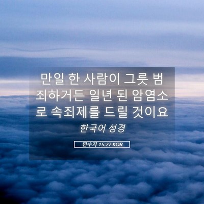 Picture 05 - 민수기 15:27 KOR - 만일 한 사람이 그릇 범죄하거든 - Bible Verse Picture