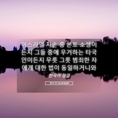 Picture 05 - 민수기 15:29 KOR - 이스라엘 자손 중 본토 소생이든지 - Bible Verse Picture