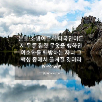 Picture 05 - 민수기 15:30 KOR - 본토 소생이든지 타국인이든지 무릇 - Bible Verse Picture