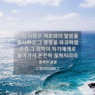 Picture 05 - 민수기 15:31 KOR - 그런 사람은 여호와의 말씀을 - Bible Verse Picture