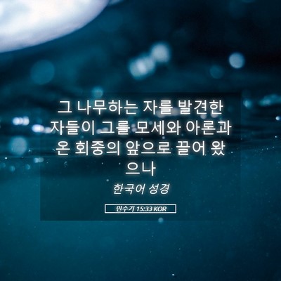 Picture 05 - 민수기 15:33 KOR - 그 나무하는 자를 발견한 자들이 - Bible Verse Picture