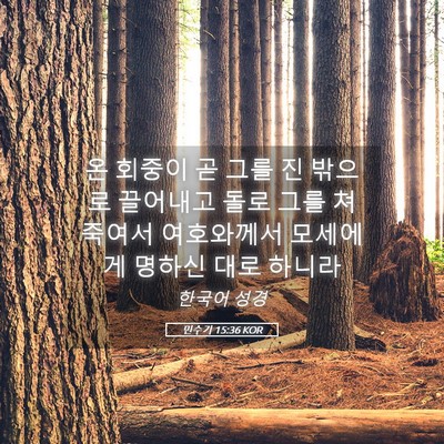 Picture 05 - 민수기 15:36 KOR - 온 회중이 곧 그를 진 밖으로 - Bible Verse Picture