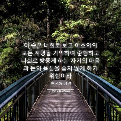 Picture 05 - 민수기 15:39 KOR - 이 술은 너희로 보고 여호와의 모든 - Bible Verse Picture