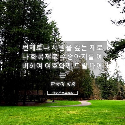 Picture 05 - 민수기 15:8 KOR - 번제로나 서원을 갚는 제로나 - Bible Verse Picture