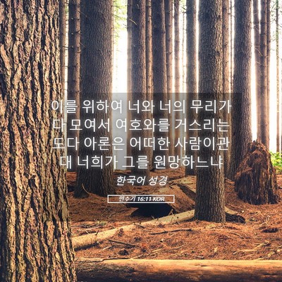 Picture 05 - 민수기 16:11 KOR - 이를 위하여 너와 너의 무리가 다 - Bible Verse Picture