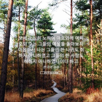Picture 05 - 민수기 16:15 KOR - 모세가 심히 노하여 여호와께 - Bible Verse Picture