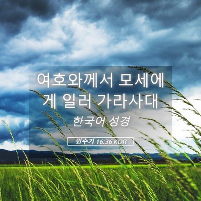 Picture 05 - 민수기 16:36 KOR - 여호와께서 모세에게 일러 - Bible Verse Picture