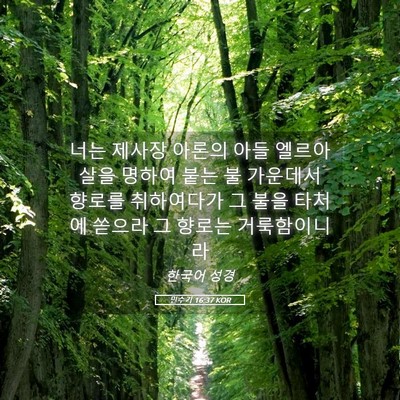 Picture 05 - 민수기 16:37 KOR - 너는 제사장 아론의 아들 엘르아살을 - Bible Verse Picture