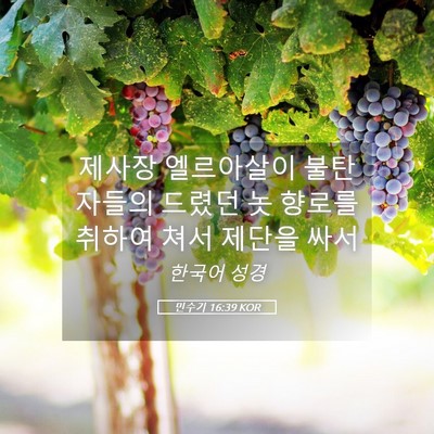 Picture 05 - 민수기 16:39 KOR - 제사장 엘르아살이 불탄 자들의 - Bible Verse Picture