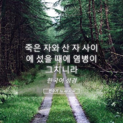 Picture 05 - 민수기 16:48 KOR - 죽은 자와 산 자 사이에 섰을 때에 - Bible Verse Picture