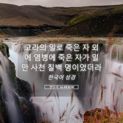 Picture 05 - 민수기 16:49 KOR - 고라의 일로 죽은 자 외에 염병에 - Bible Verse Picture