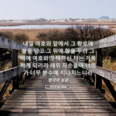 Picture 05 - 민수기 16:7 KOR - 내일 여호와 앞에서 그 향로에 불을 - Bible Verse Picture