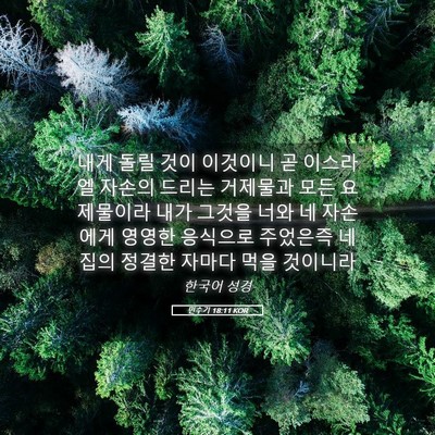 Picture 05 - 민수기 18:11 KOR - 내게 돌릴 것이 이것이니 곧 - Bible Verse Picture