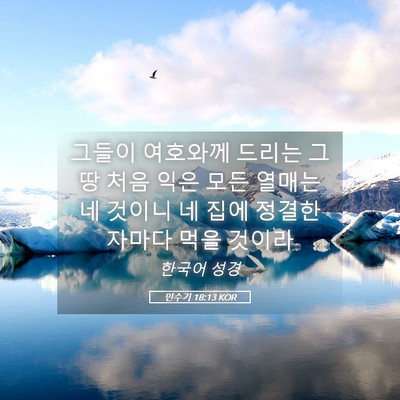 Picture 05 - 민수기 18:13 KOR - 그들이 여호와께 드리는 그 땅 처음 - Bible Verse Picture