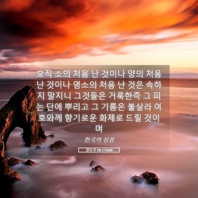 Picture 05 - 민수기 18:17 KOR - 오직 소의 처음 난 것이나 양의 처음 - Bible Verse Picture