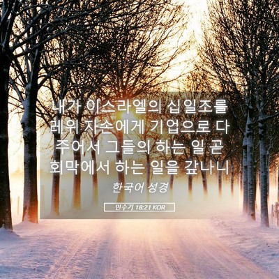 Picture 05 - 민수기 18:21 KOR - 내가 이스라엘의 십일조를 레위 - Bible Verse Picture