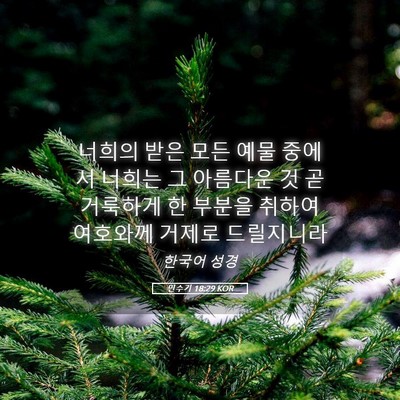 Picture 05 - 민수기 18:29 KOR - 너희의 받은 모든 예물 중에서 - Bible Verse Picture