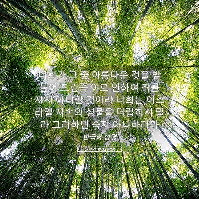 Picture 05 - 민수기 18:32 KOR - 너희가 그 중 아름다운 것을 받들어 - Bible Verse Picture