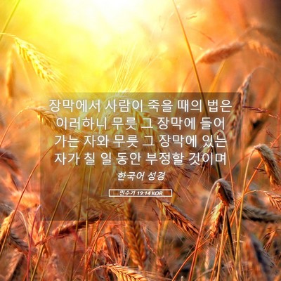 Picture 05 - 민수기 19:14 KOR - 장막에서 사람이 죽을 때의 법은 - Bible Verse Picture
