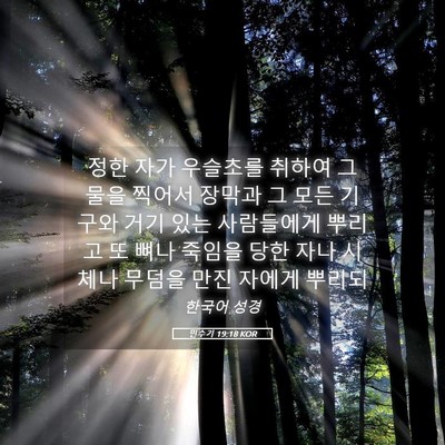 Picture 05 - 민수기 19:18 KOR - 정한 자가 우슬초를 취하여 그 물을 - Bible Verse Picture
