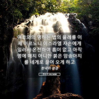 Picture 05 - 민수기 19:2 KOR - 여호와의 명하는 법의 율례를 이제 - Bible Verse Picture