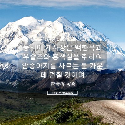 Picture 05 - 민수기 19:6 KOR - 동시에 제사장은 백향목과 우슬초와 - Bible Verse Picture
